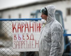 Bird flu in Crimea