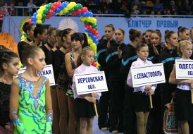 Ukrainian Cup on rhythmic gymnastics-2008