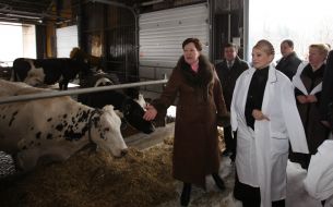 Юлия Тимошенко знакомится с работой животноводческого комплекса