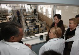 Юлия Тимошенко знакомится с работой животноводческого комплекса