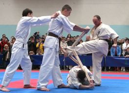 Чемпионат Украины по Киокушинкай каратэ