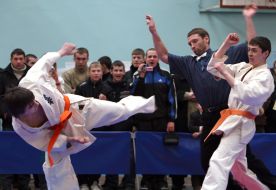 Чемпионат Украины по Киокушинкай каратэ