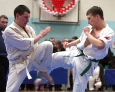 Чемпионат Украины по Киокушинкай каратэ