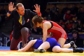 XIV Kiev International tournament on a free fight