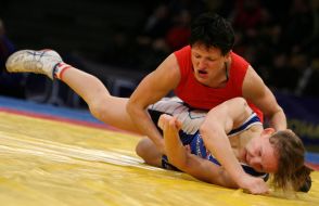 XIV Kiev International tournament on a free fight