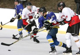 Hockey. HC ”Berkut” (Lvov) vs HC ”Kiev Foxes” (Kiev)