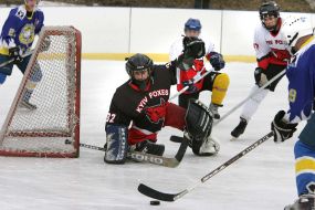 Hockey. HC ”Berkut” (Lvov) vs HC ”Kiev Foxes” (Kiev)