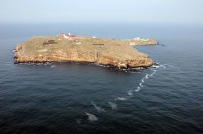 Острів Зміїний