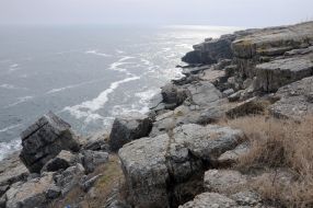 Острів Зміїний