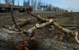 Deforestation of Ukraine