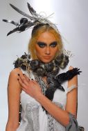 Collection by Artyom Klimchyuk