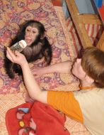 A new chimpanzee in the Kharkov zoo