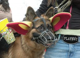 XXXV Юморина в Одесі