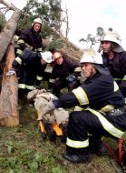 The republican studies of Ministry emergency of measures in the Kharkov region