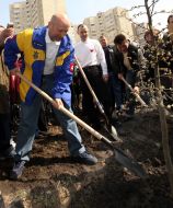 Aleksandr Turchinov plants trees in one of Kievan parks