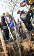 Aleksandr Turchinov plants trees in one of Kievan parks