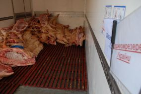 Meat of Goskomrezerv at the markets of Kiev