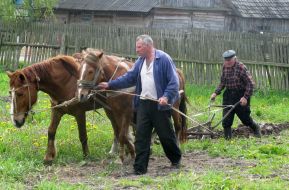 Agriculture. Spring tillage