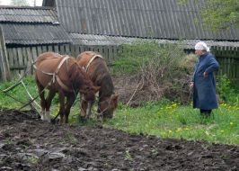 Agriculture. Spring tillage