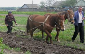 Agriculture. Spring tillage
