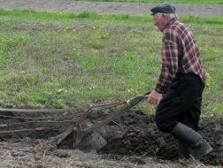 Agriculture. Spring tillage