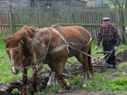 Agriculture. Spring tillage