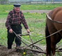 Agriculture. Spring tillage