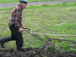 Agriculture. Spring tillage