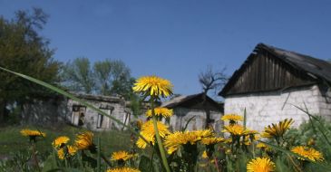 Neglected settlement