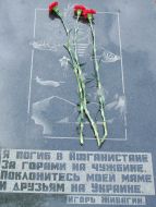 Гвоздики на мраморной плите