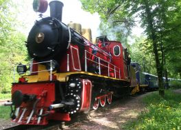 55th season of the Kievan child’s railway opening
