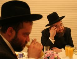 60th anniversary of Israel State сelebration