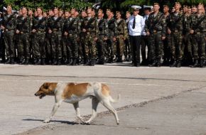 Call-up campaign ”Spring-2008”