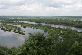 Річка Десна