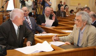 Meeting participants