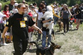 Кубок Барбоса - 2008