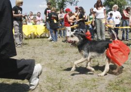 Кубок Барбоса - 2008