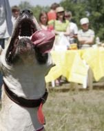 Кубок Барбоса - 2008