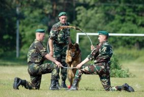 Cynologist with work dog