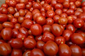 Помидоры