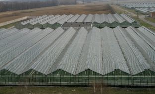 ОАО ”Комбинат ”Тепличный”