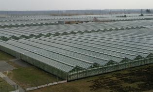 ОАО ”Комбинат ”Тепличный”