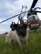 Flying studies of KhUAF students