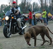 Участник мотофестиваля ”Гоблин-шоу”