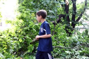 Последствия урагана во Львовской области