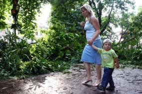 Последствия урагана во Львовской области