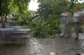 Последствия урагана во Львовской области