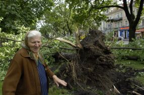 Последствия урагана во Львовской области