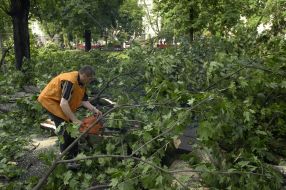 Последствия урагана во Львовской области