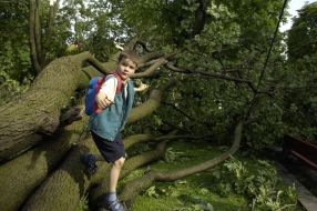 Последствия урагана во Львовской области